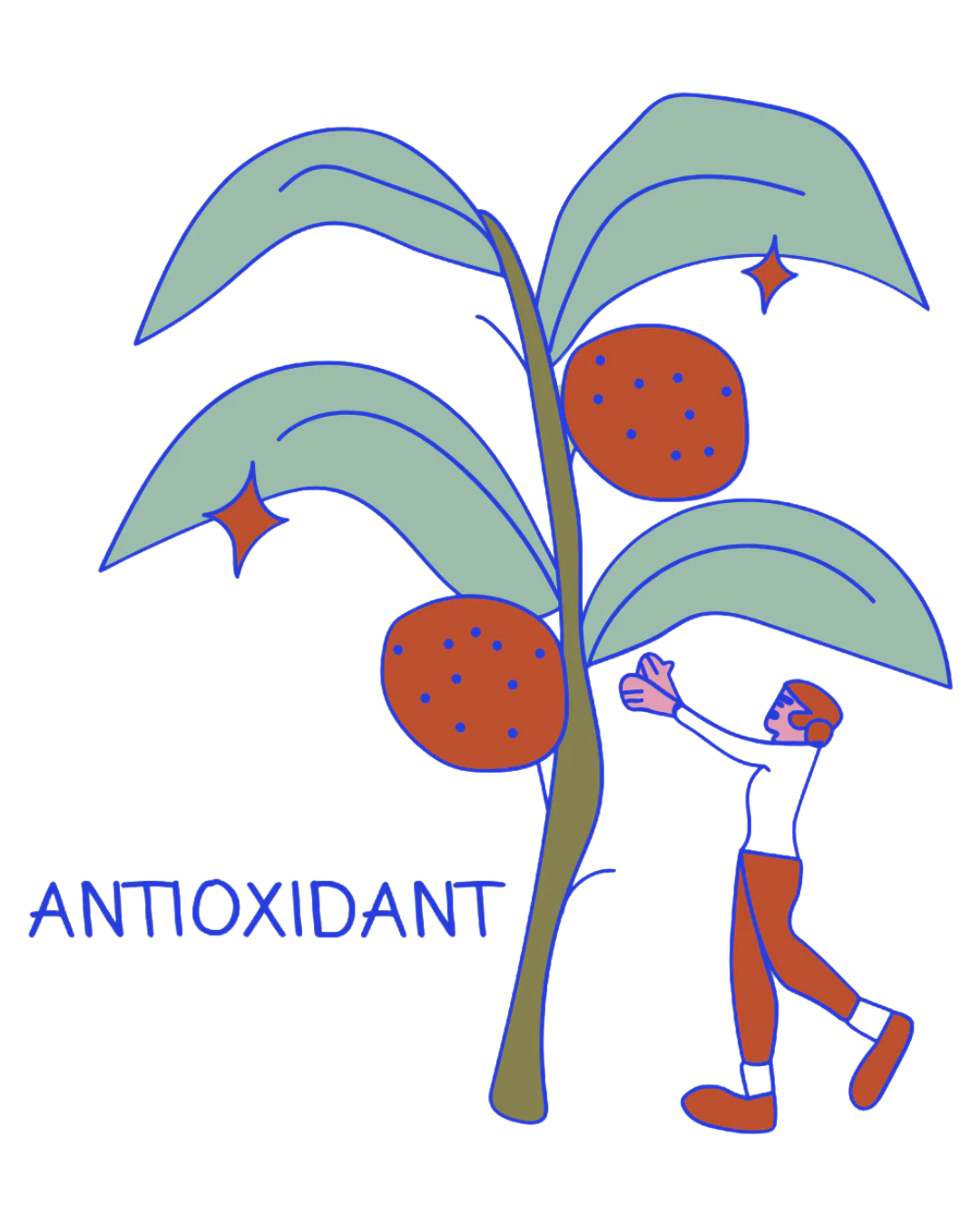 <h4><strong>Antioxidant Power</strong></h4>