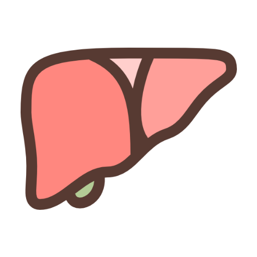 <h4><strong>Liver Detox</strong></h4>